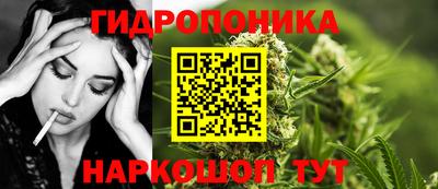 шишки Краснокаменск