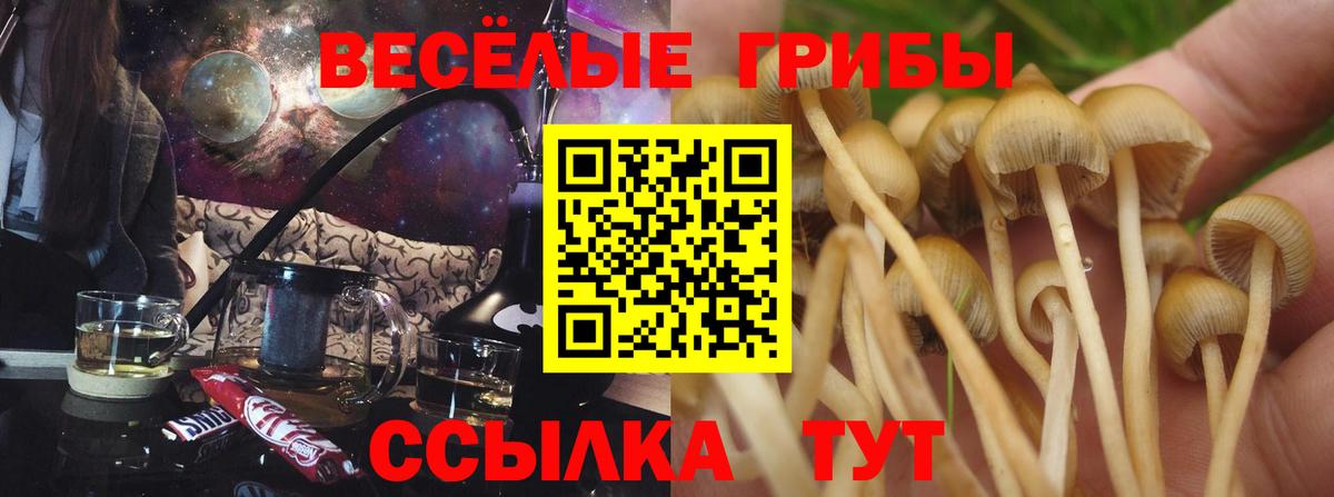 Галлюциногенные грибы MAGIC MUSHROOMS Карталы